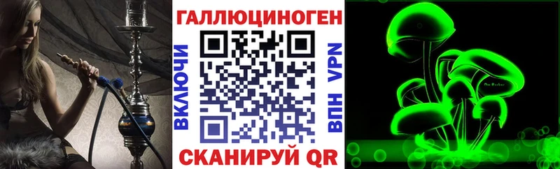 где купить наркотик  Крымск  Псилоцибиновые грибы мицелий 